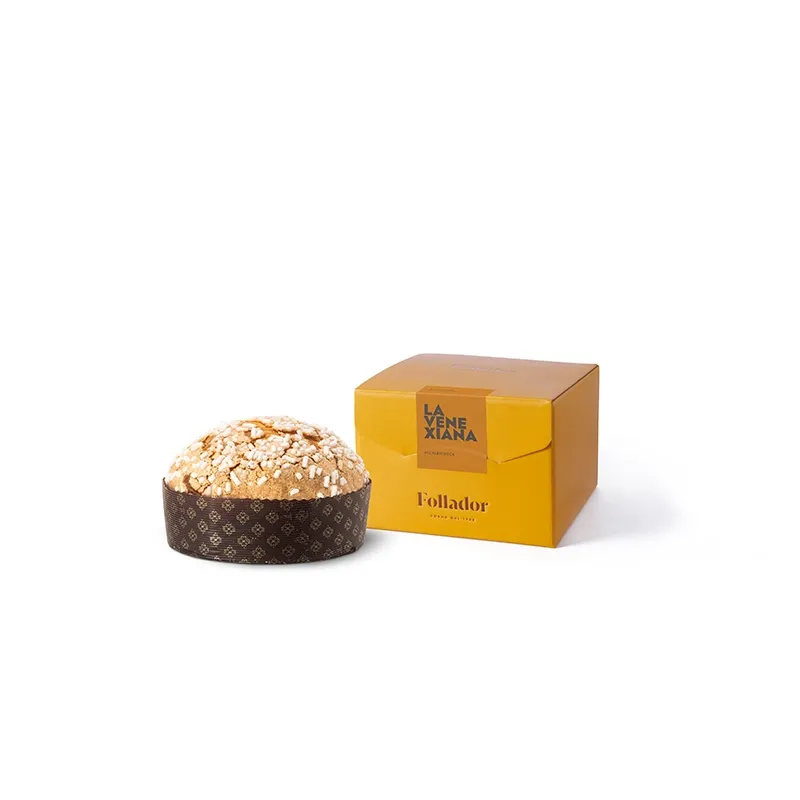 focaccia-venexiana-albicocca-small-c