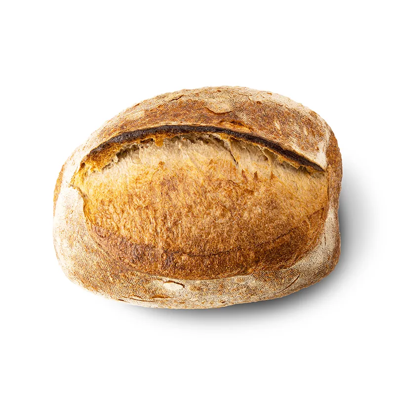 autentica-1 panino bio