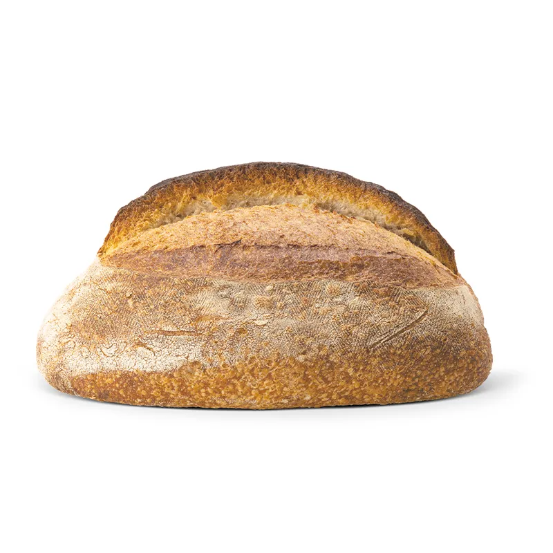 autentica-2 panino bio