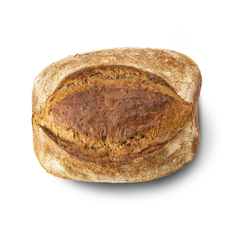 sincera-1 panino bio